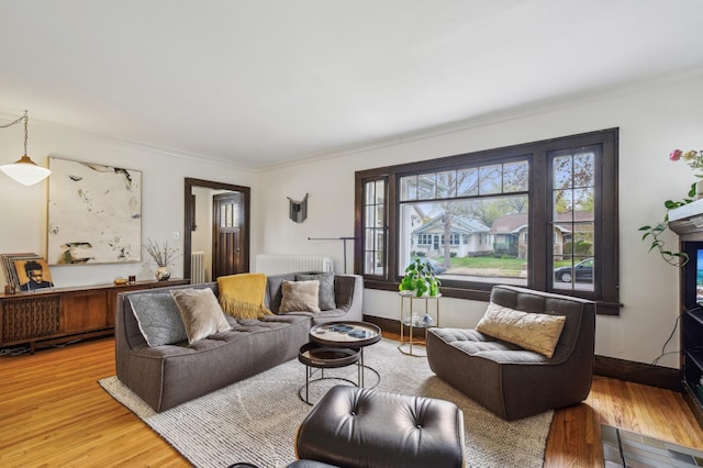 2170 Palace Ave, Saint Paul, MN 55105 - living room featuring baseboards, ornamental molding, wood finished floors, and radiator