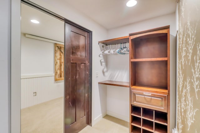 walk in closet with light colored carpet