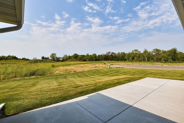 7521 Ocean Ave, Otsego, MN 55330 - view of yard with a patio area