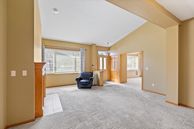 14012 54th Ave N Unit 4, Plymouth, MN 55446 - sitting room featuring carpet floors, baseboards, vaulted ceiling, and a textured ceiling