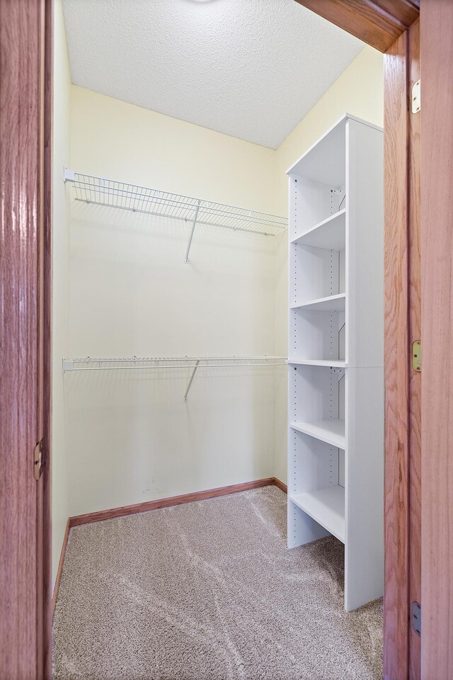 14012 54th Ave N Unit 4, Plymouth, MN 55446 - spacious closet featuring carpet floors