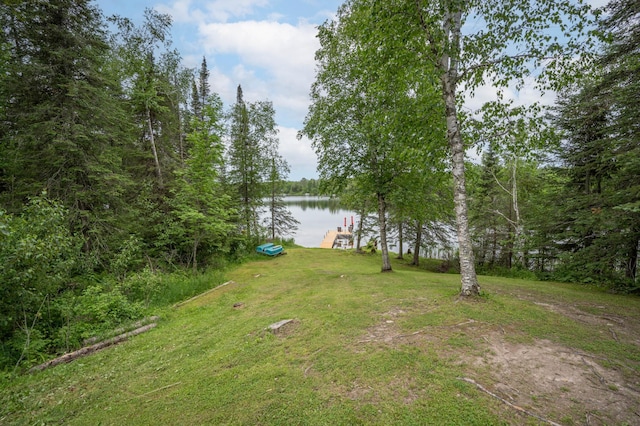 view of yard with a water view and a dock