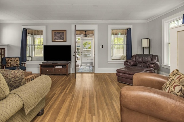 1449 Laurel Ave, Saint Paul, MN 55104 - living area with baseboards, ornamental molding, healthy amount of natural light, wood-type flooring, and ceiling fan