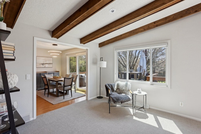 17725 26th Ave N, Plymouth, MN 55447 - living area featuring carpet floors, baseboards, beamed ceiling, and a textured ceiling