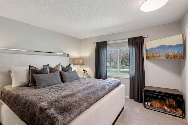 17725 26th Ave N, Plymouth, MN 55447 - bedroom featuring carpet floors and a textured ceiling