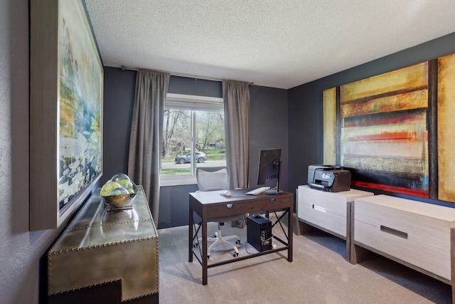 17725 26th Ave N, Plymouth, MN 55447 - office featuring carpet floors and a textured ceiling