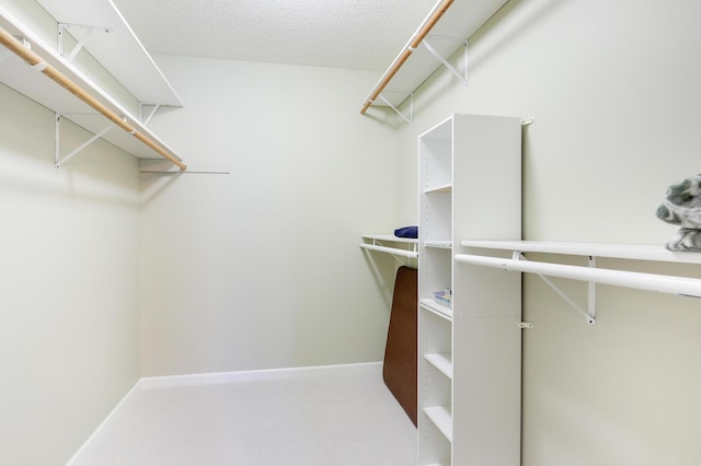 spacious closet featuring carpet