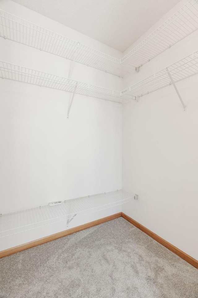 5030 Yuma Ln N, Plymouth, MN 55446 - walk in closet with carpet flooring
