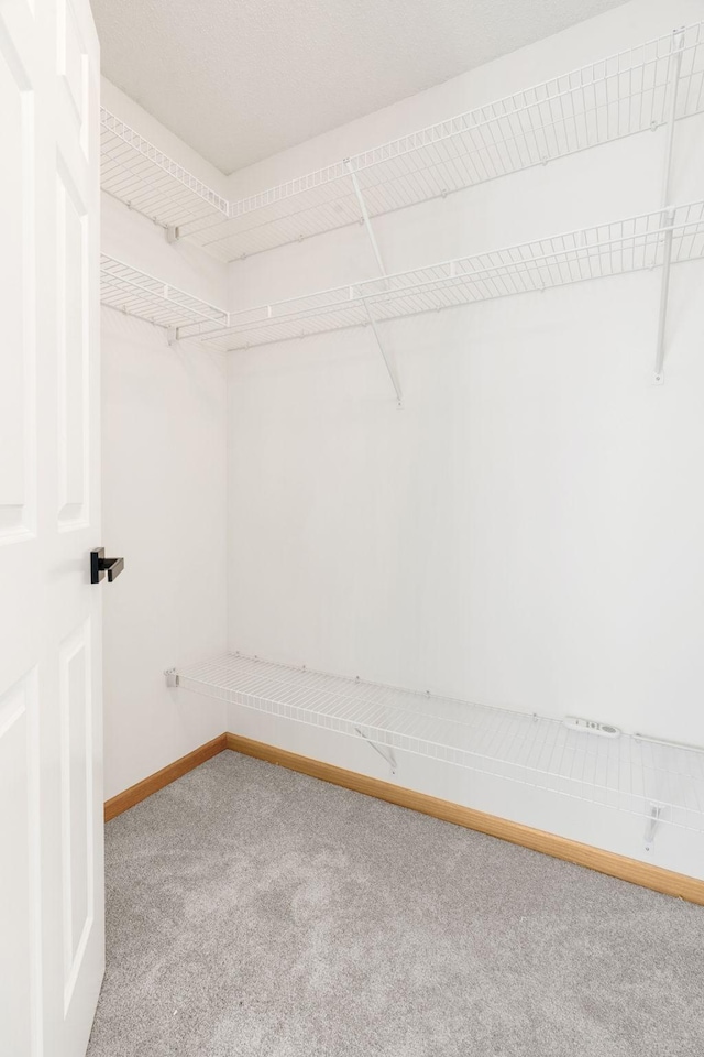 5030 Yuma Ln N, Plymouth, MN 55446 - walk in closet featuring carpet floors