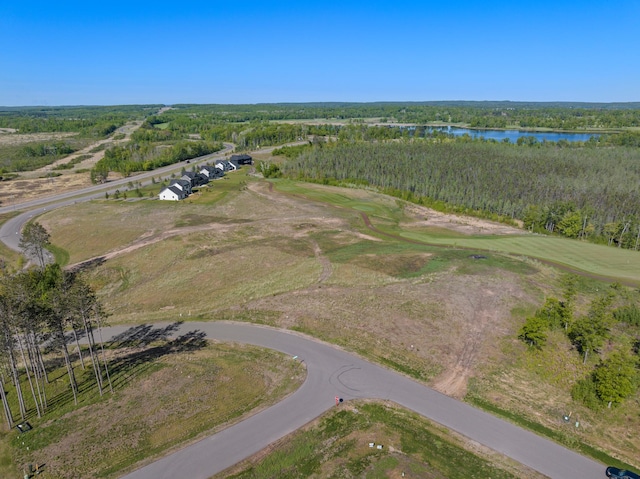LOT271.03ACRES16121 Tom Lehman Dr, Brainerd, MN 56401