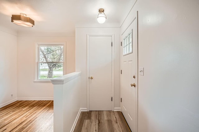 doorway to outside featuring baseboards and wood finished floors