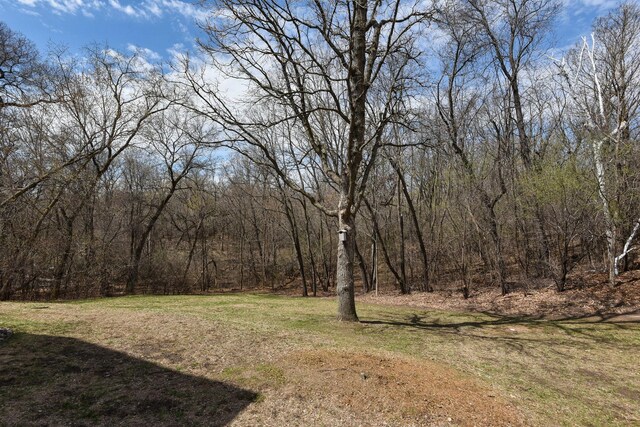 view of yard featuring a view of trees