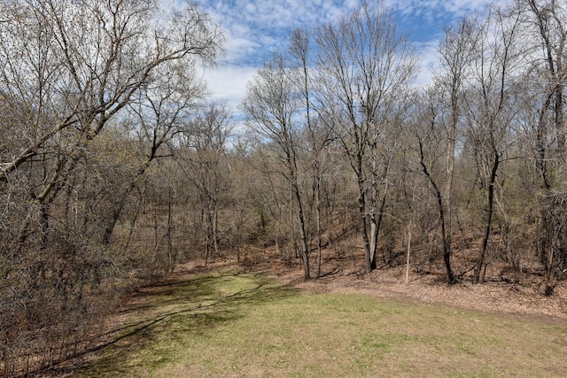 view of local wilderness