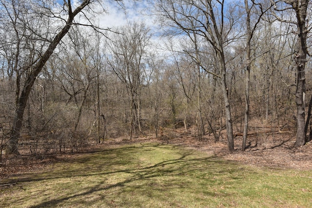 view of local wilderness
