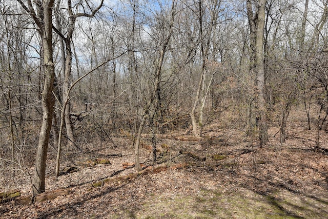 view of landscape