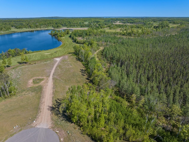 LOT391.59ACRES Royal Lytham Ct, East Gull Lake, MN 56401