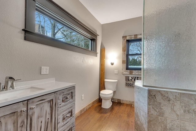 131 Norman Ave N, Foley, MN 56329 - bathroom with baseboards, wood finished floors, toilet, and vanity