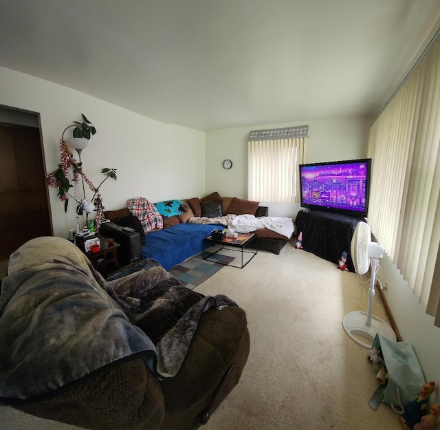 211 2nd St, Albert Lea, MN 56007 - view of carpeted living area