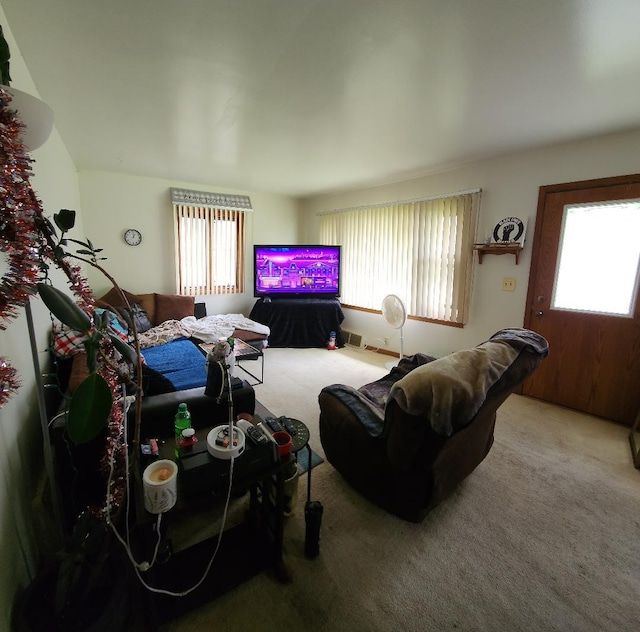 211 2nd St, Albert Lea, MN 56007 - carpeted living area with healthy amount of natural light