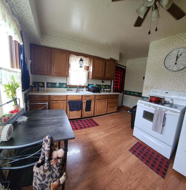 211 2nd St, Albert Lea, MN 56007 - kitchen featuring white electric range oven, wallpapered walls, brown cabinets, a ceiling fan, and light wood finished floors