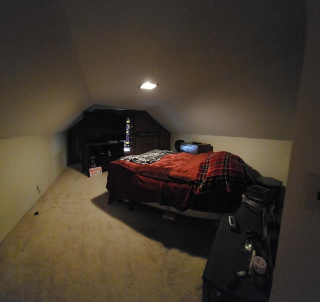 211 2nd St, Albert Lea, MN 56007 - carpeted bedroom featuring vaulted ceiling
