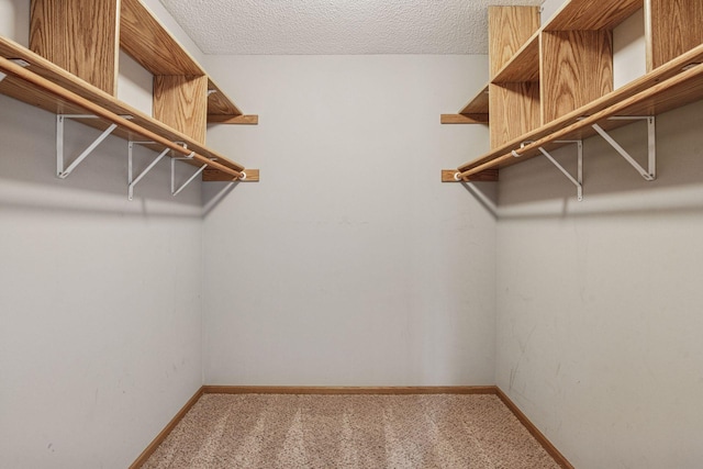 walk in closet featuring carpet flooring