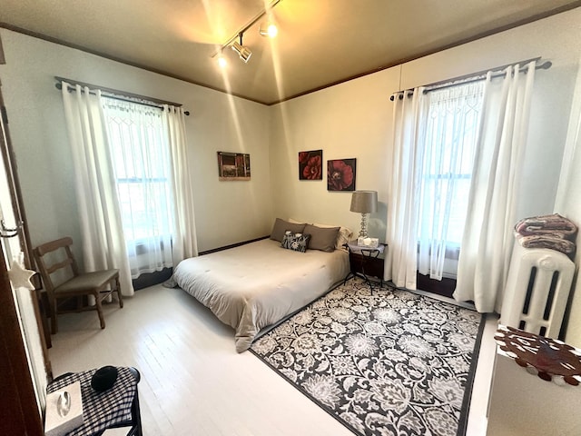 bedroom featuring rail lighting, wood finished floors, radiator, and multiple windows