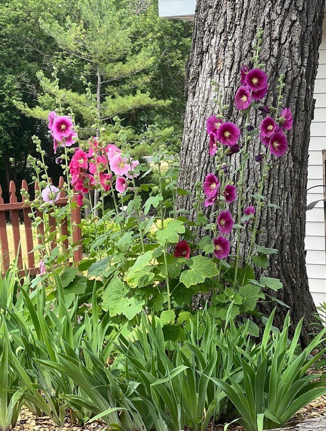 exterior details featuring fence