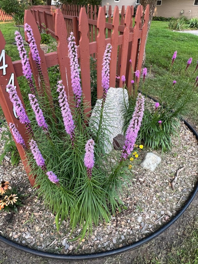 exterior details with fence