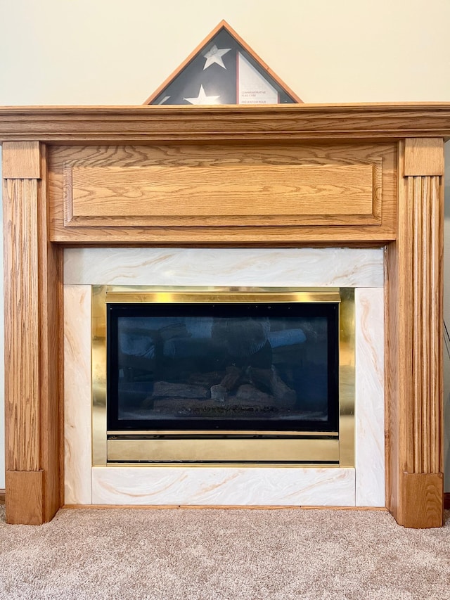 816 3rd St S, Sartell, MN 56377 - detailed view of carpet flooring and a glass covered fireplace