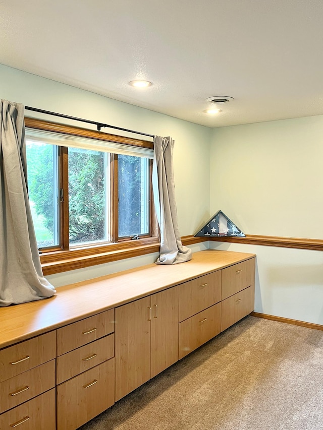 816 3rd St S, Sartell, MN 56377 - misc room featuring healthy amount of natural light, light carpet, and baseboards
