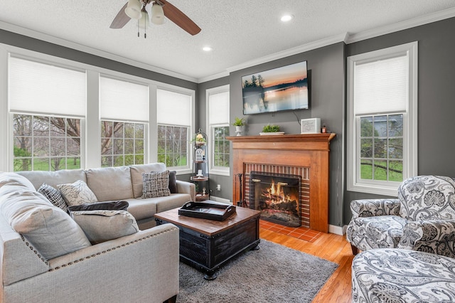 living room with a ceiling fan, a textured ceiling, a fireplace, wood finished floors, and ornamental molding