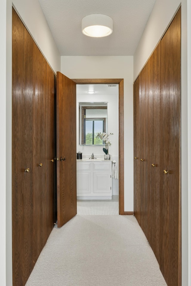 7200 York Ave S Unit 304, Edina, MN 55435 - hallway with light colored carpet and a sink