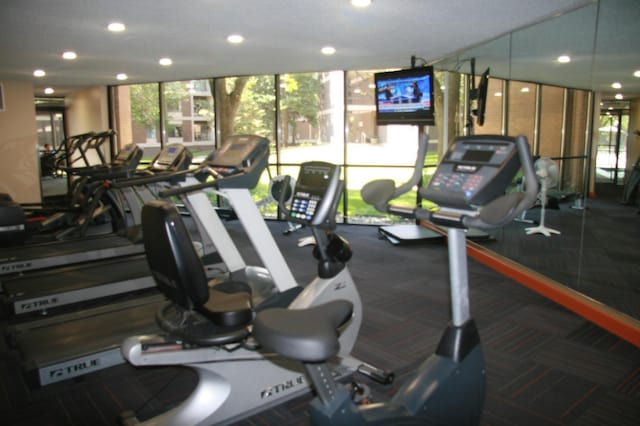 7200 York Ave S Unit 304, Edina, MN 55435 - workout area featuring recessed lighting, carpet floors, and a wall of windows