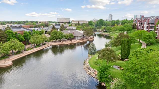 7200 York Ave S Unit 304, Edina, MN 55435 - water view with a tree filled landscape