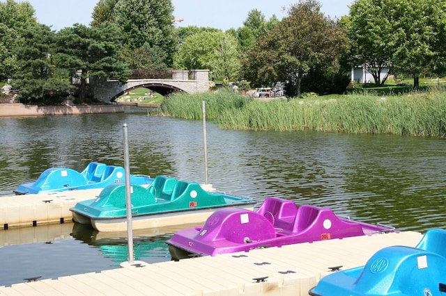 7200 York Ave S Unit 304, Edina, MN 55435 - dock featuring a water view