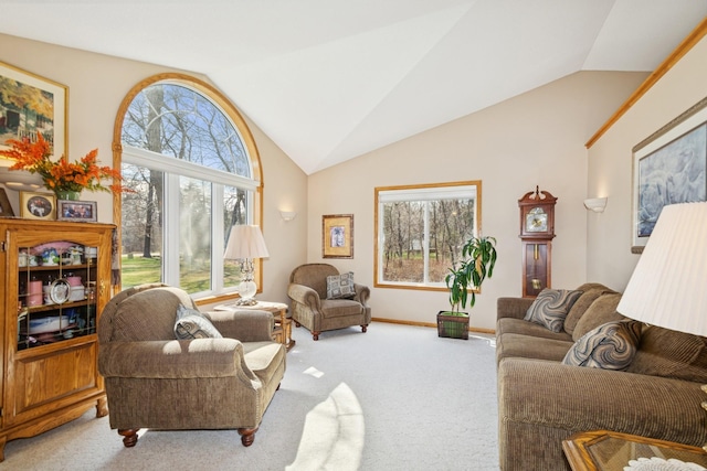 14580 30th St, Clear Lake, MN 55319 - carpeted living area featuring vaulted ceiling and baseboards