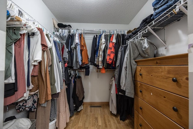 434 Fridell Cres, Red Wing, MN 55066 - walk in closet with light wood-style floors