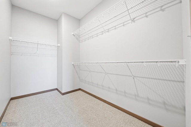 spacious closet with carpet floors