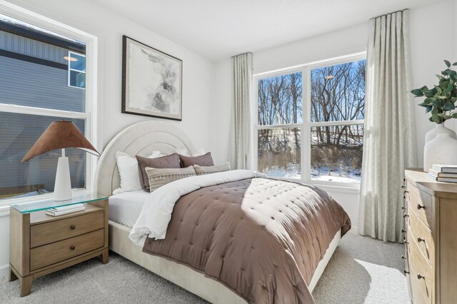 2704 Aspen Dr, Shakopee, MN 55379 - bedroom with light colored carpet