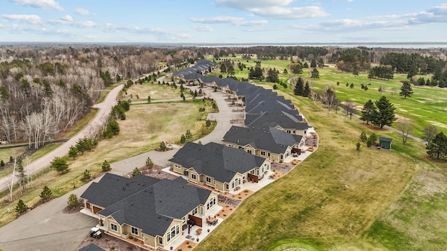 drone / aerial view