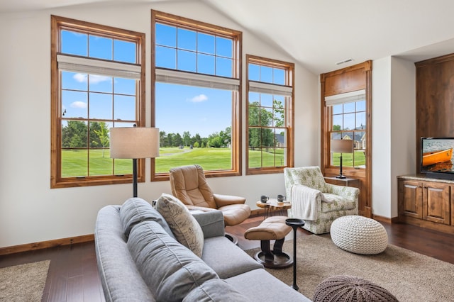 7466 Fairway Ln, Breezy Point, MN 56472 - living room featuring lofted ceiling and dark wood-type flooring