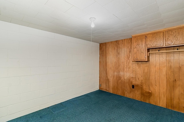 finished basement featuring carpet flooring and wooden walls