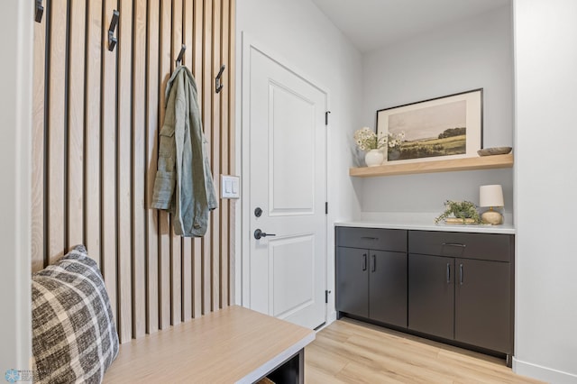 mudroom with light wood-type flooring