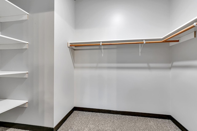215 Butler St, Litchfield, MN 55355 - walk in closet with carpet