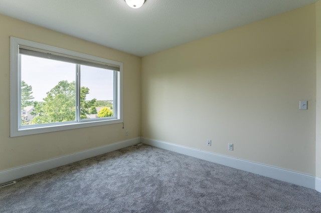 19717 Hazel Nut Ave, Lakeville, MN 55044 - carpeted empty room featuring baseboards