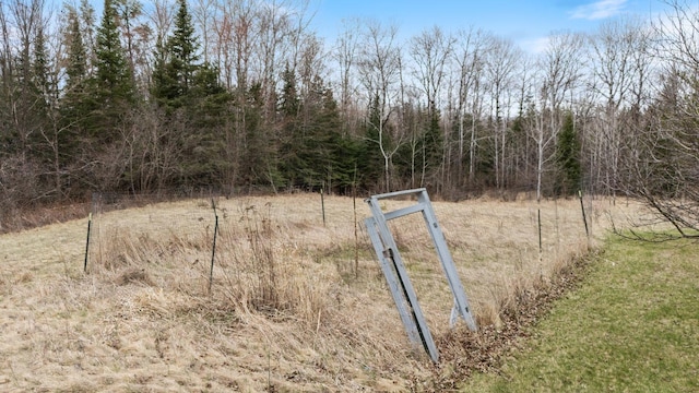 37301 Little Sweden Rd, Nashwauk Twp, MN 55769 - view of road with a forest view