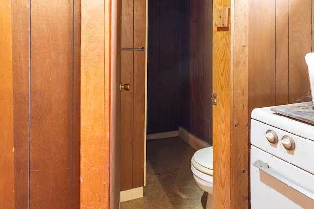 37301 Little Sweden Rd, Nashwauk Twp, MN 55769 - bathroom with toilet