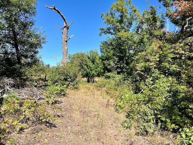 777 Big Round Ave, Georgetown Twp, WI 54853 - view of landscape