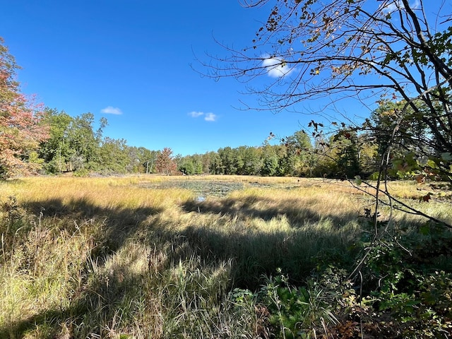 777 Big Round Ave, Georgetown Twp, WI 54853 - view of local wilderness featuring a forest view
